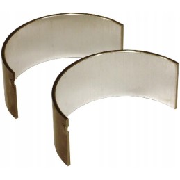 Pora švaistiklio guolių