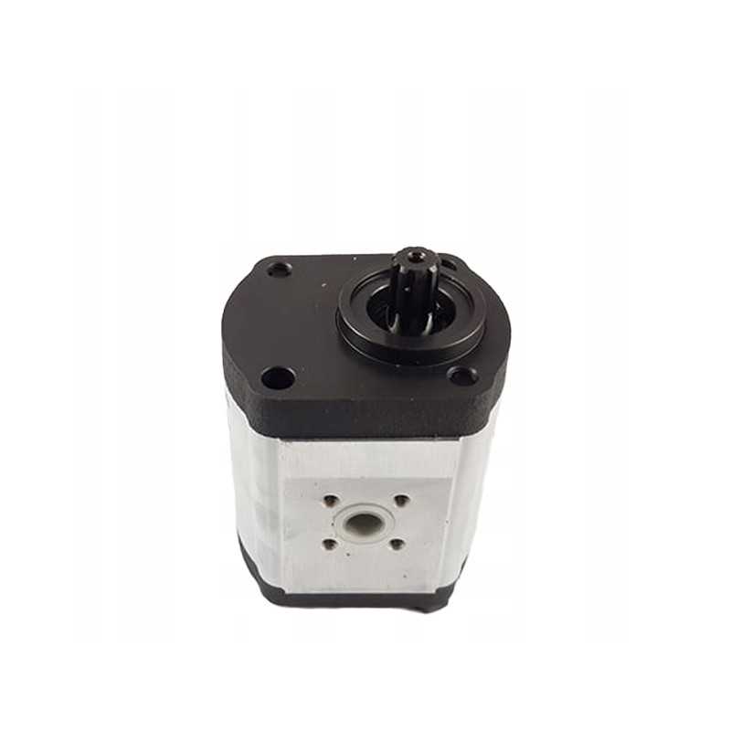 Hidraulinis siurblys tas pats antares dorado explorer