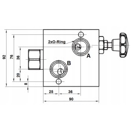 Greičio reguliatoriaus vožtuvas sumontuotas ant BMR variklio