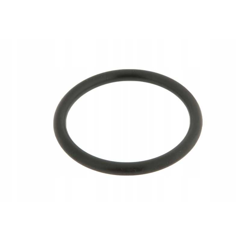 70923718 agco O žiedas