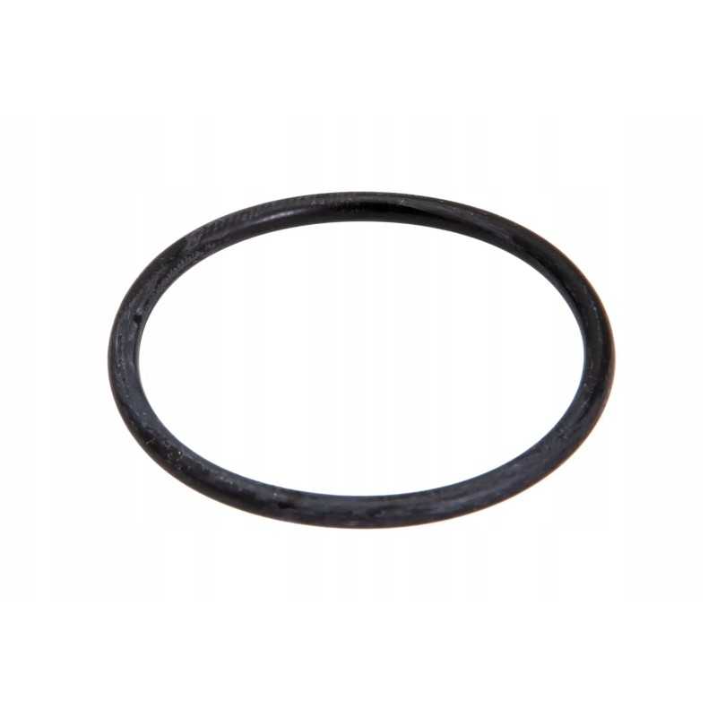 F100001162625 išmetimo vamzdžio sistemos tarpiklis