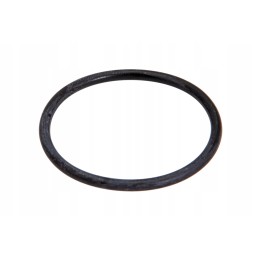 F100001162625 išmetimo vamzdžio sistemos tarpiklis