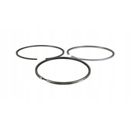 Stūmoklio žiedai new Holland korpusas 8094845 cnh