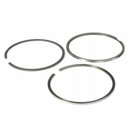 Stūmoklio žiedai new Holland korpusas 8094845 cnh