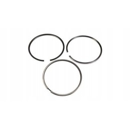 Stūmoklio žiedai new Holland korpusas 8094845 cnh