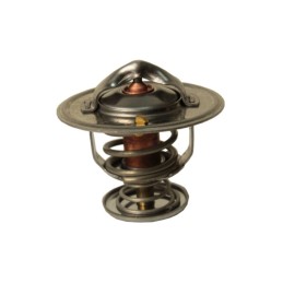 New Holland Fiat Case JX 55 termostatas 04569187