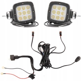 Dvi lenkiškos lempos 9xled 1800lm 13 5w pajungimas