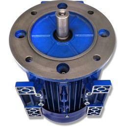 Variklis su flanšu 2 2kw 230v 1410rpm 3 fazių