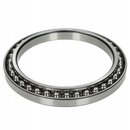 Case 50 cx50 galutinis pavaros pagrindinis guolis