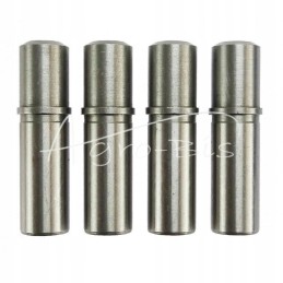 Išmetimo įleidimo vadovas Fendt Farer Andoria mot