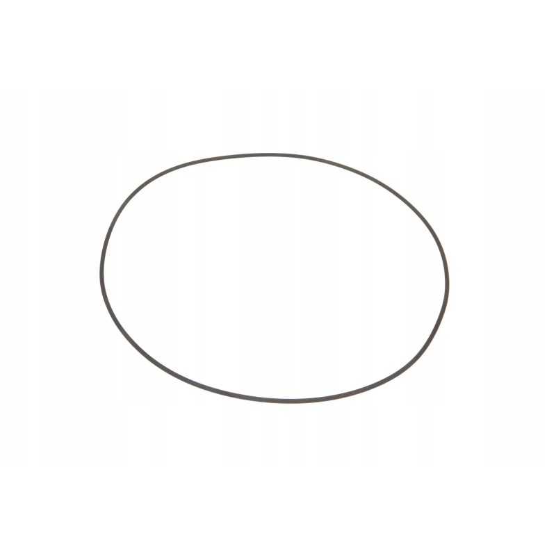 X549032500000 planetinės pavaros sandarinimo žiedas