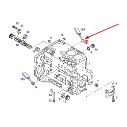 F119200210080 variklio bloko kamštis