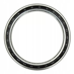 Hitachi zx25 galutinės pavaros pagrindinis guolis e0888410