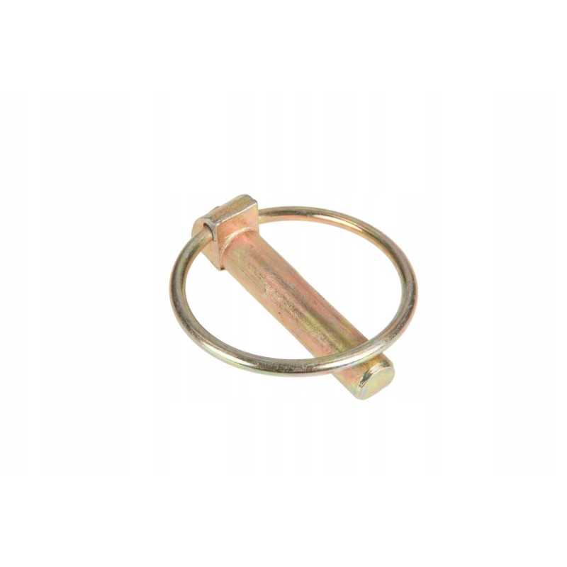 7701023565 priekinio svorio kaištis