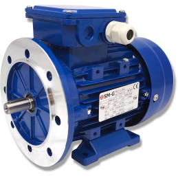 3 fazių variklis 0 37kw 400v 1390ob w14 b35 flanšas