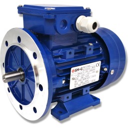 Variklis su flanšu 0 55kw 230v 1390rpm 3 fazių