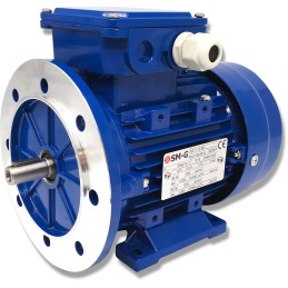 3 fazių variklis 0 25kw 400v 1395ob w14 b35 flanšas