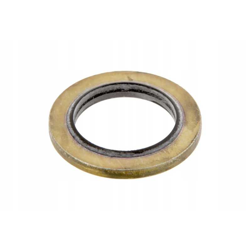 6005028271 hidraulinės sistemos sandariklis