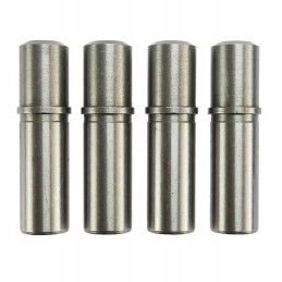 Išmetimo įleidimo vadovas Fendt Farer Andoria mot