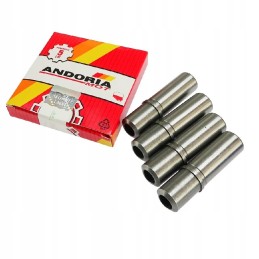 Išmetimo įleidimo vadovas Fendt Farer Andoria mot