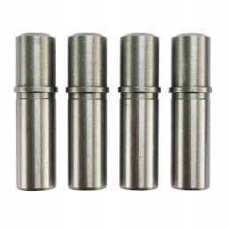 Išmetimo įleidimo vadovas Fendt Farer Andoria mot