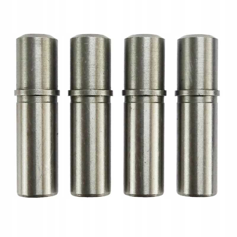 Išmetimo įleidimo vadovas Fendt Farer Andoria mot