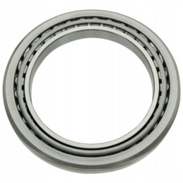 Guolis 159005 10 3166 dana spicer