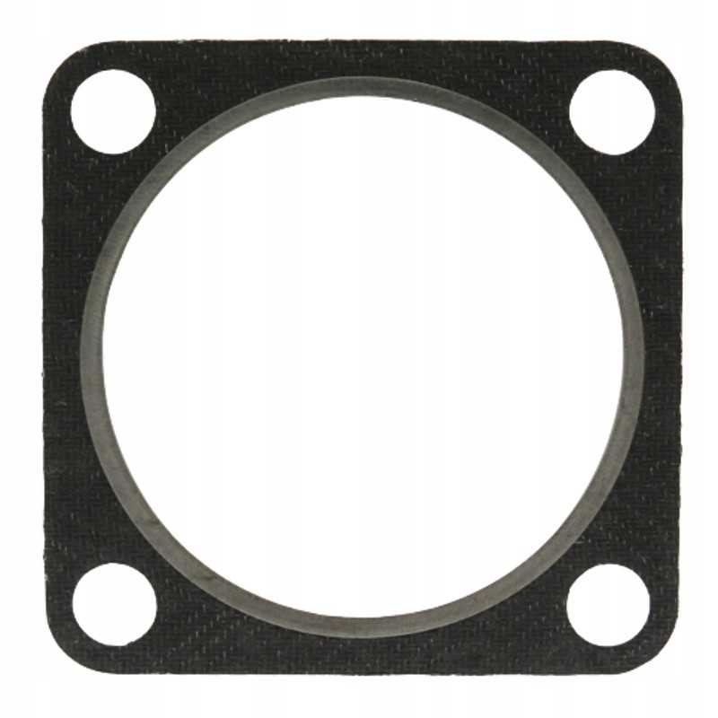 Tarpiklis duslintuvui 38004653 granitas