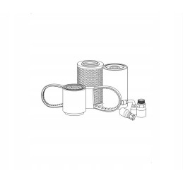 M14 kuro filtro vandens jutiklis New Holland Case 50