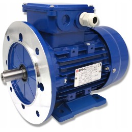 3 fazių variklis 0 55kw 400v 1400ob w19 b35 flanšas
