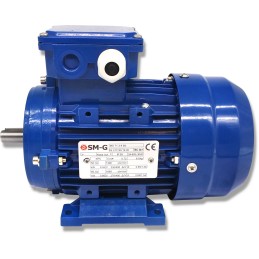 Elektros variklis 0 55kw 230 400v 1390rpm 3 fazis