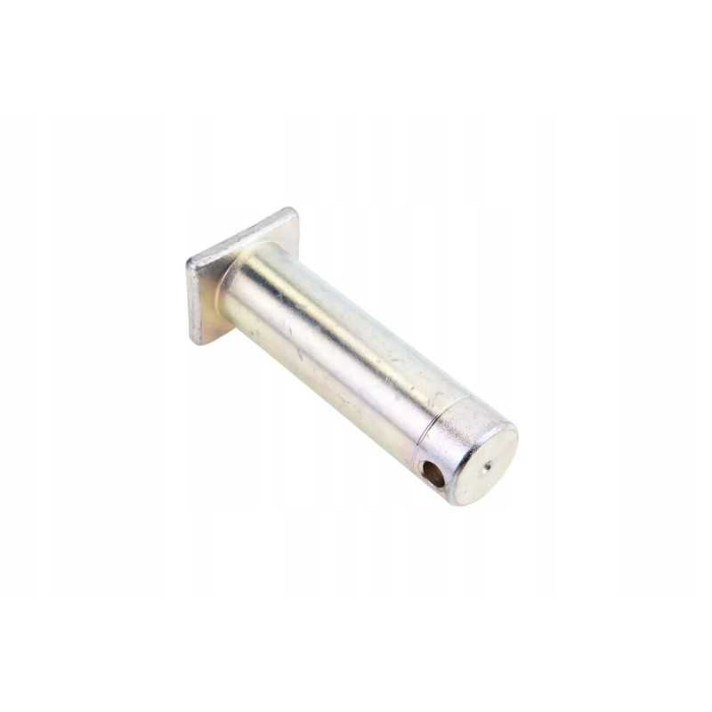 4313164m1 kaiščio kaištis