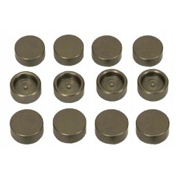 Vožtuvo gaubtas vpa2406