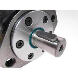 Hidraulinis variklis BMR SMR OMP 315 cm3 ALSG2 GR2