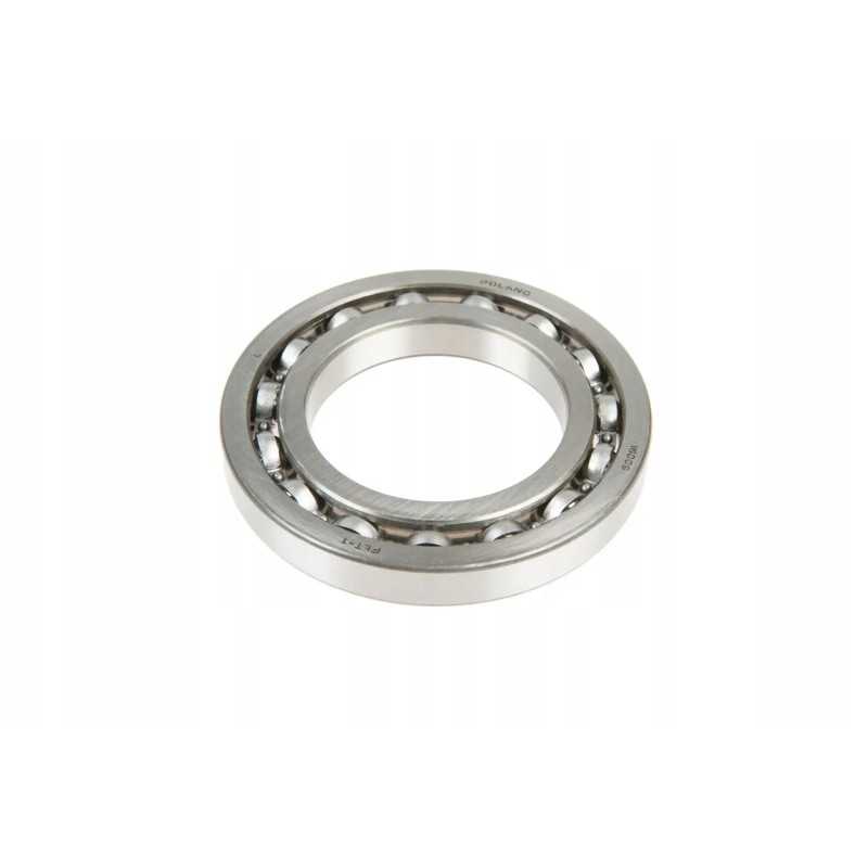 6009 rutulinis guolis paprastai 1 eilė