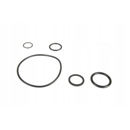 6249019m91 agco O žiedų komplektas