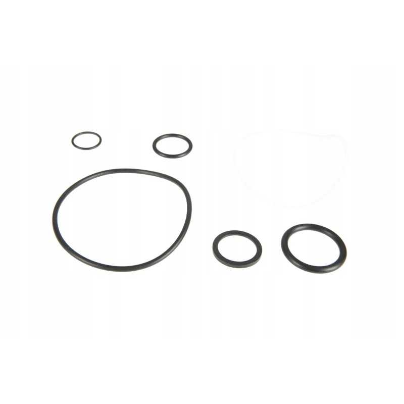 6249019m91 agco O žiedų komplektas