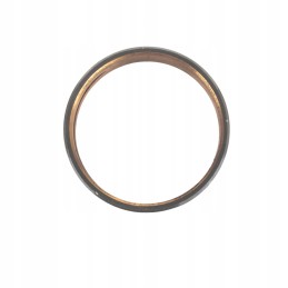 Hidraulinio siurblio pavaros įvorė New Holland Case