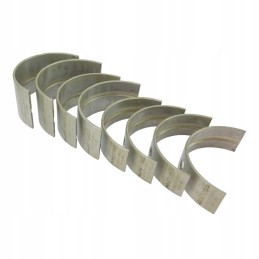 Pagrindinių guolių rinkinys 3134002k ursus mf3