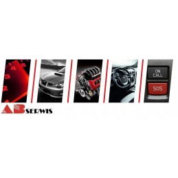 VW Skoda pakaitinimo žvakių laidai