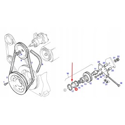 199552020520 guolio dangtis