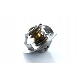 Termostatas ford 83913835 polmo