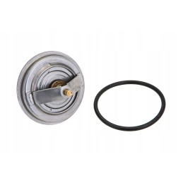 Wa4105 83d termostatas