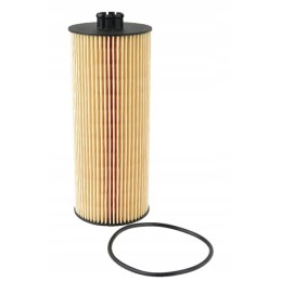 Alyvos filtras deutz agroplus 100 agrotron k610 agr