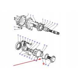 893017m2 rato stebulės varžtas