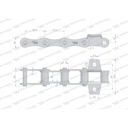 Waryn bizonų rekordinio konvejerio vidurinė grandinė