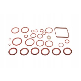 F931962030110 vožtuvo sandariklių komplektas