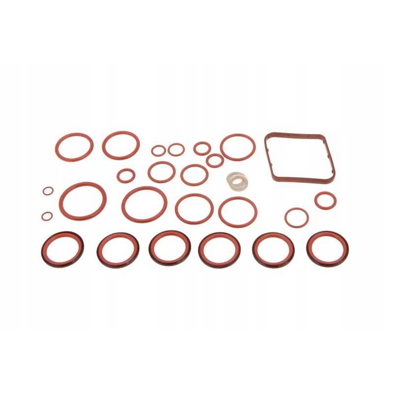 F931962030110 vožtuvo sandariklių komplektas