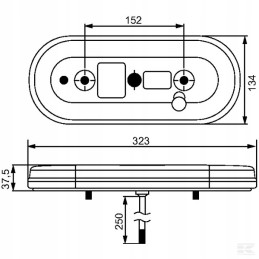 Dešinysis žibintas, posūkio signalo sustabdymo padėtis