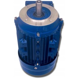 Elektros variklis 0 75kw 230 400v 1380rpm 3 fazis